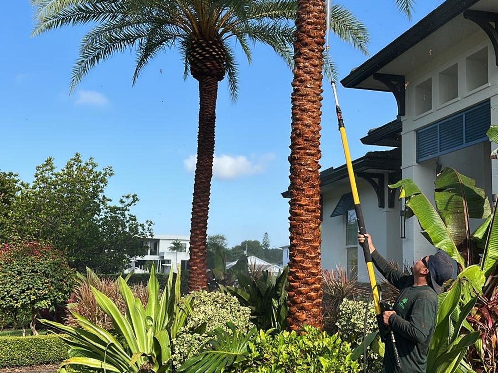 Palm care