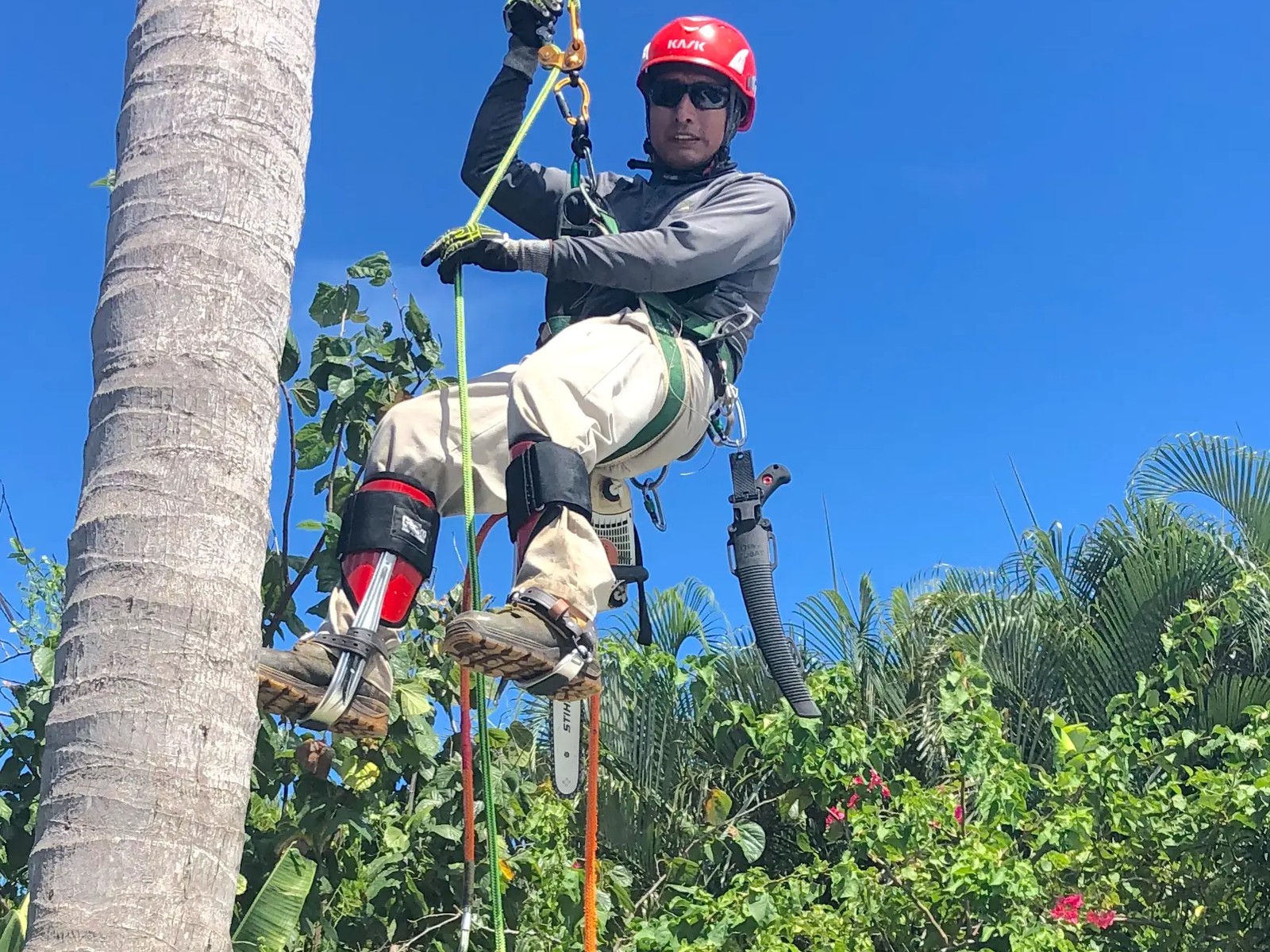 Climbing & rigging