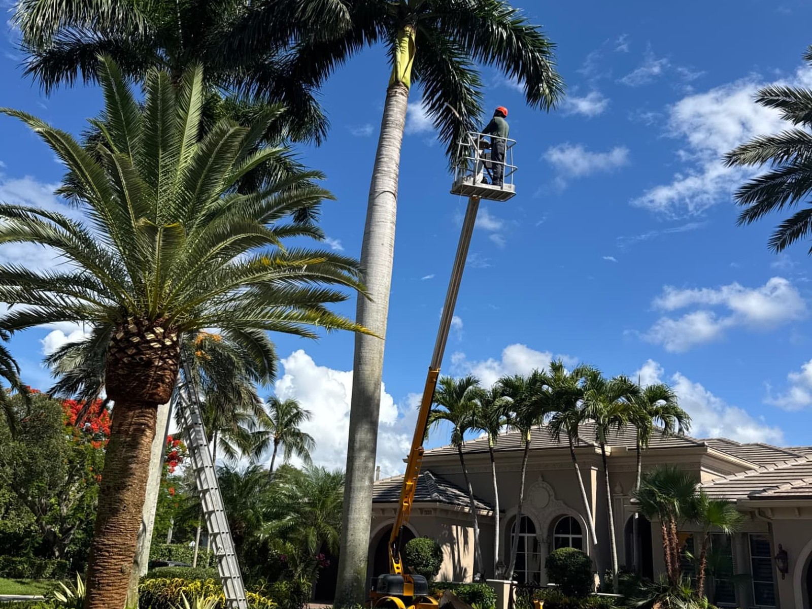 Lift-assisted trimming